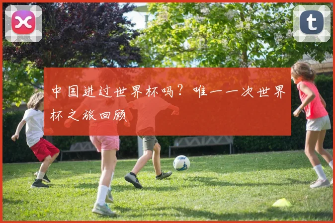 中国进过世界杯吗?唯一一次世界杯之旅回顾