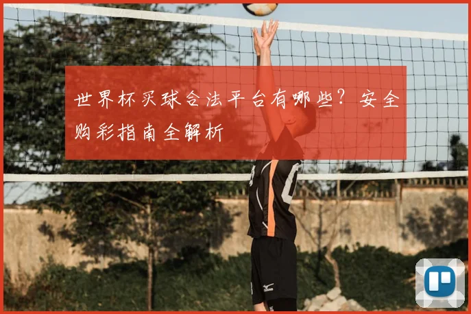 世界杯买球合法平台有哪些？安全购彩指南全解析
