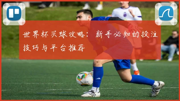 世界杯买球攻略:新手必知的投注技巧与平台推荐