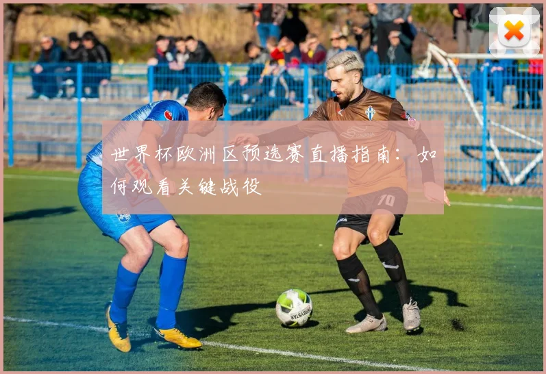 世界杯欧洲区预选赛直播指南:如何观看关键战役