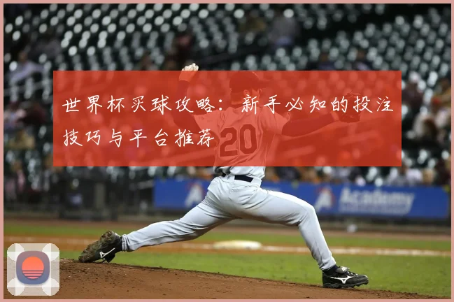 世界杯买球攻略：新手必知的投注技巧与平台推荐